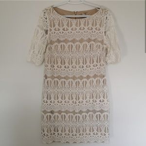 Dress Barn Shift Dress